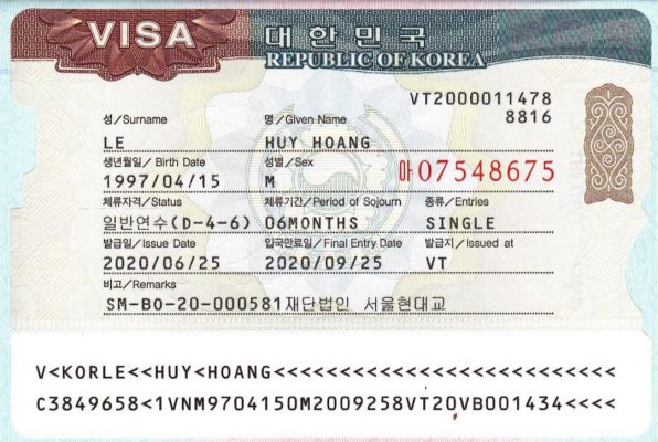 Visa D44