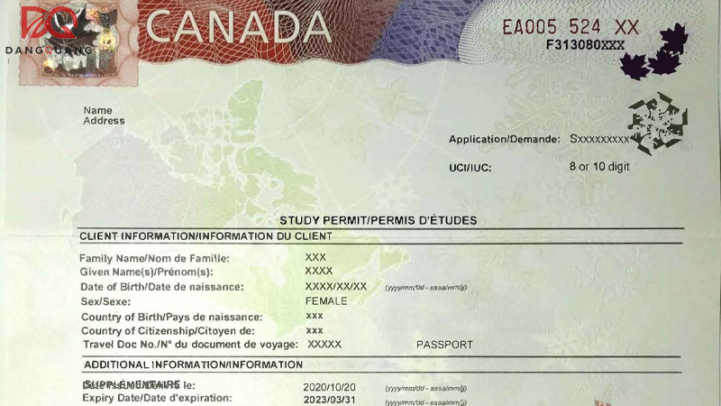Du học Canada cần chuẩn bị những gì? Điều kiện du học Canada mới nhất 2025 7 du-hoc-canada-can-chuan-bi-nhung-gi-1