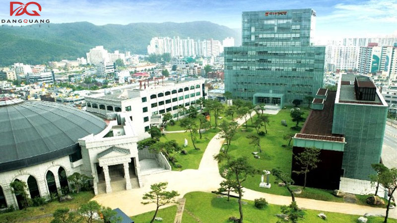 Danh sách các trường du học nghề Hàn Quốc đào tạo uy tín, chất lượng 10 Danh sách các trường du học nghề Hàn Quốc đào tạo uy tín, chất lượng