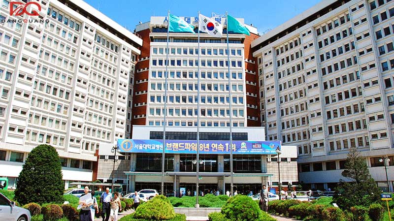 Tìm hiểu chương trình du học Hàn Quốc ngành điều dưỡng từ A - Z 10 Tìm hiểu chương trình du học Hàn Quốc ngành điều dưỡng từ A - Z