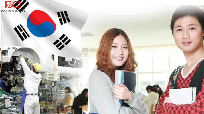 du hoc nghe han quoc co nhung nganh gi 8