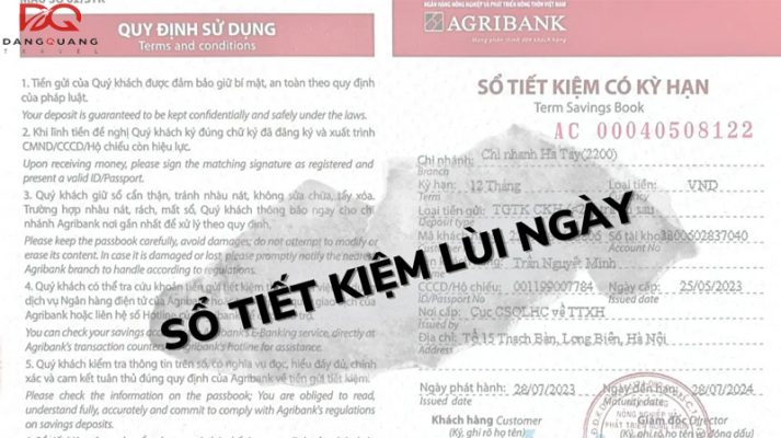 dich vu chung minh tai chinh lui ngay