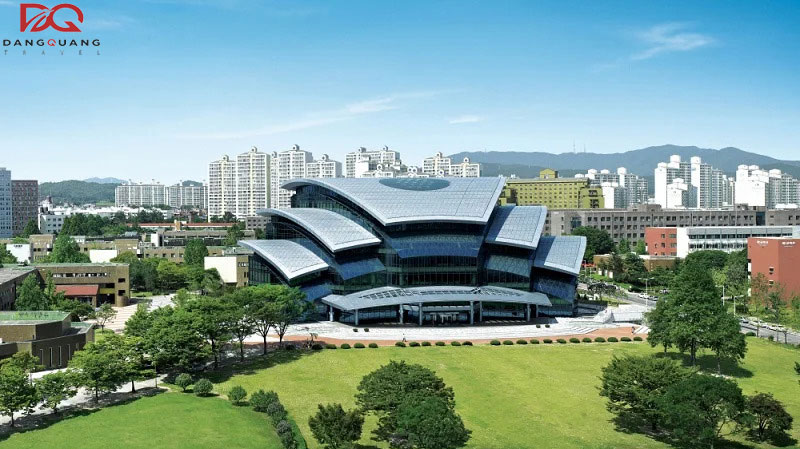 Tìm hiểu về du học Hàn Quốc ngành quản trị kinh doanh, kinh tế, nhân lực