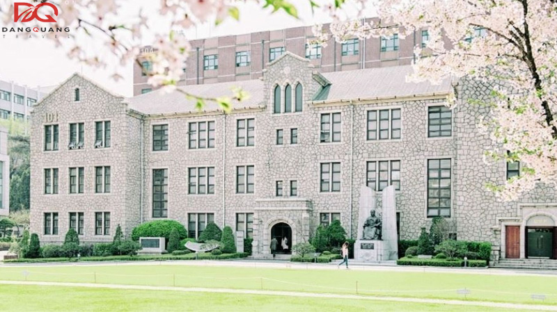 Tất tần tật về du học Hàn Quốc ngành truyền thông, marketing từ A - Z