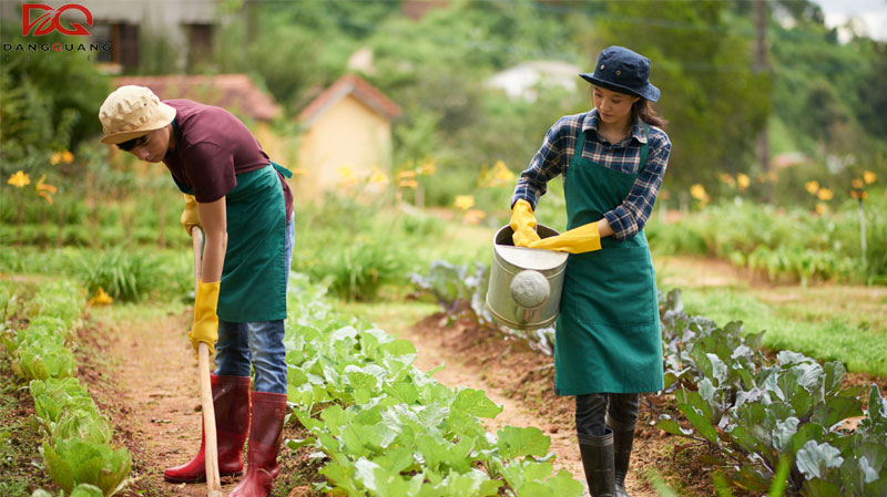 Thủ tục và điều kiện gia hạn visa 462 mới nhất 2026 12 Thủ tục và điều kiện gia hạn visa 462 mới nhất 2026