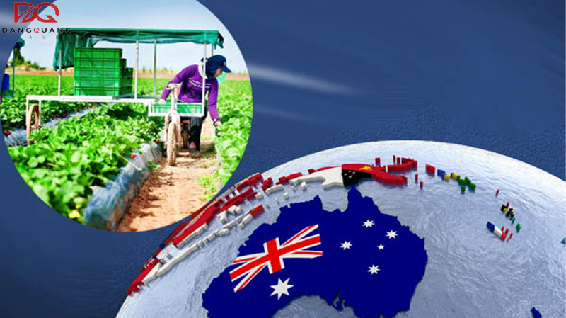 Visa 462 là gì? Điều kiện xin Visa 462 vừa du lịch vừa làm việc